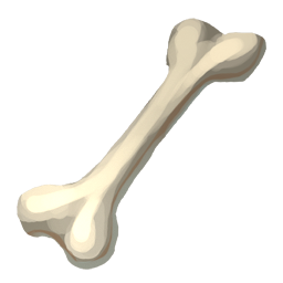 Bone