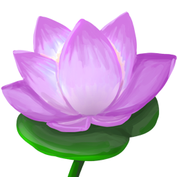 Lotus Flower