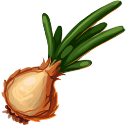 Onion