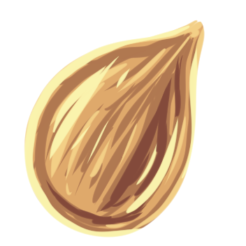 Pumpkin Seed