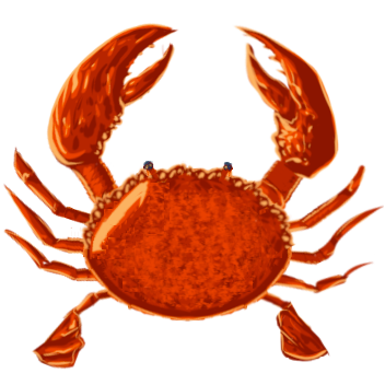 Raw Crab