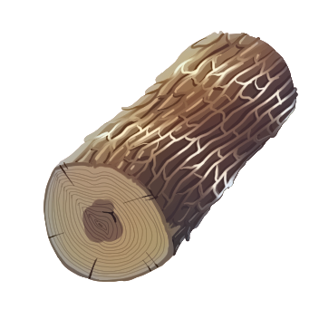 Elder Log